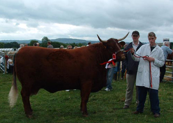 2009_0819Cappamore090055