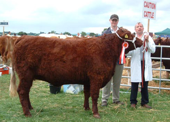 2009_0819Cappamore090058