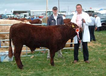 2009_0819Cappamore090070