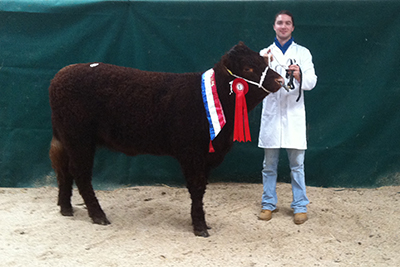 2015 champion senior heifer calf, Ballyvonnavaun Olga, Declan Bell