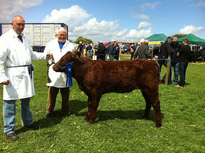 Athlone Show female calf 2nd winner, Manusmore Olay owner John Burke