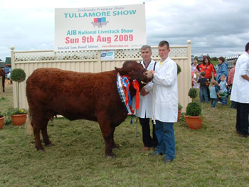 Tullamore DSCF0422