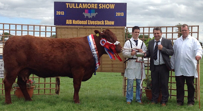 Tullamore Salers Champion 2013