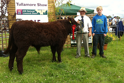 Tullamore Show, 1st Male Calf, Manusmore Obama, owner John Burke