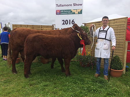 Tullamore Show 2016 1st Male calf Sligo Pierre owner Niall Hunt