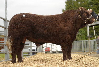 moygara japan tully lot5 apr 2011