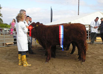 ballinasloe PA030022