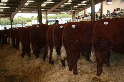 18415_434874989903040_1077652959_n