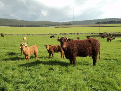 227105_210211859010735_6167339_n