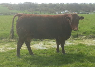 305896_625704754110847_82392616_n