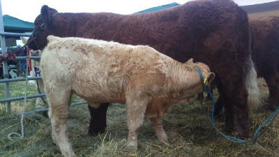 536221_671904102822152_1705941937_n