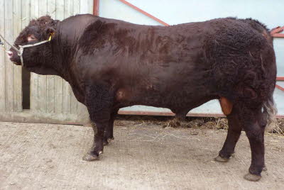 Rigel Duncan - Son of Crocodile Dundee