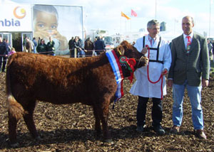 npaheifer07