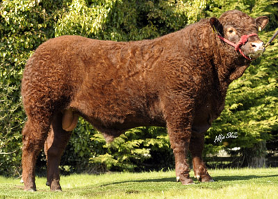 tully sal champ apr10 4636 copy[1]